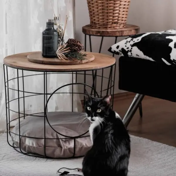 kedi-yuvali-tel-sepet-sehpa-tasarim-sehpalar-kobihome-5044-15-O.webp (26 KB)
