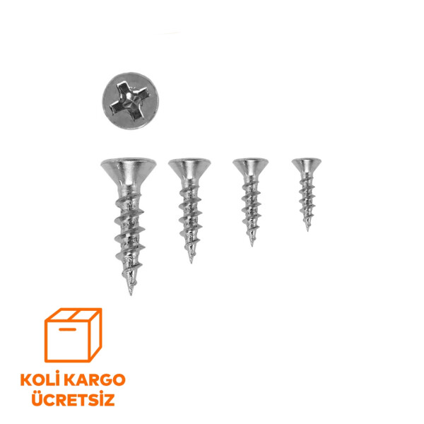 Dolphin Menteşe Vidası - Koli - Dolphin