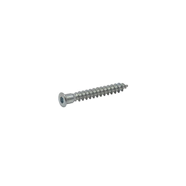 Kabin Vidası Sivri Uçlu 6,3 x 50 - 1