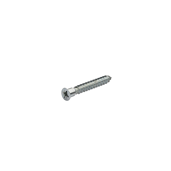 Kabin Vidası Sivri Uçlu 6,3 x 50 - 2