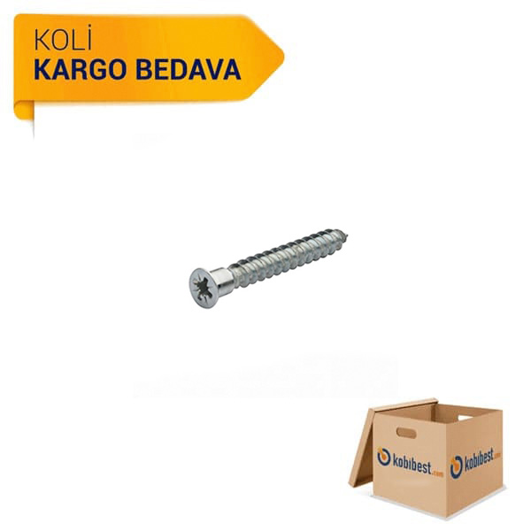 Kabin Vidası Sivri Uçlu 6,3 x 50 - 2