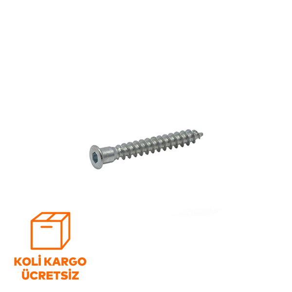 Kabin Vidası Sivri Uçlu 6,3 x 50 Koli - 