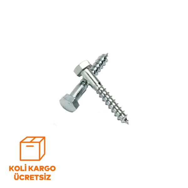 Trifon Vidası - Dolphin